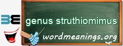 WordMeaning blackboard for genus struthiomimus